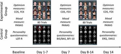 Learning to Look at the Bright Side of Life: Attention Bias Modification Training Enhances Optimism Bias